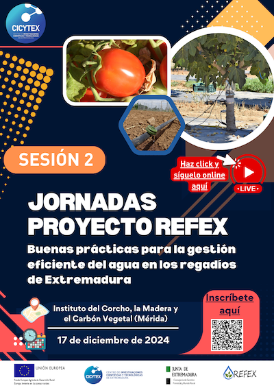 a1%20V_Final_Portada_Jornada_17_Diciembre_REFEX_ICMC